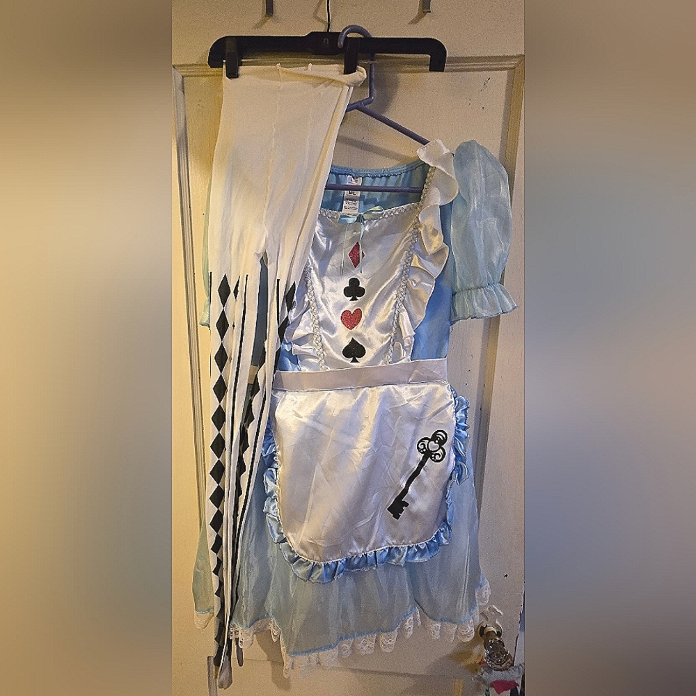 Blue Alice in Wonderland Kids Costume